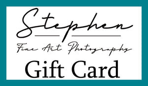 Stephen Fine Art Gift Card